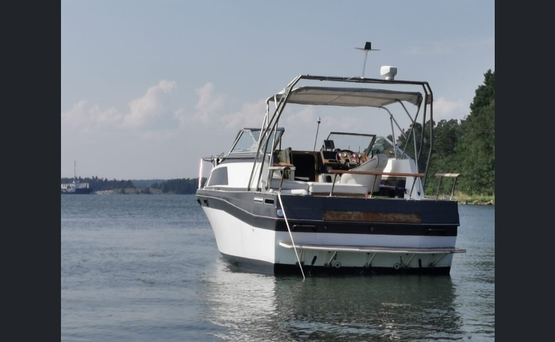 Bayliner 2550-kuva-15